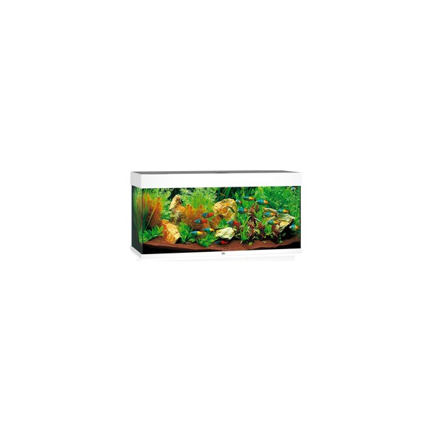 Tether Vil ikke greb Juwel Rio 180 L - fås i 4 farver - Akvarier samt akvarie reservedele -  Akvarie West