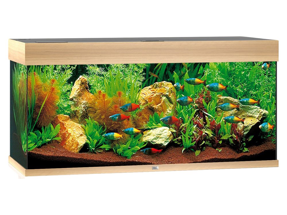 Siege skruenøgle Menstruation Juwel Rio 350 L - fås i 4 farver - Akvarier samt akvarie reservedele -  Akvarie West