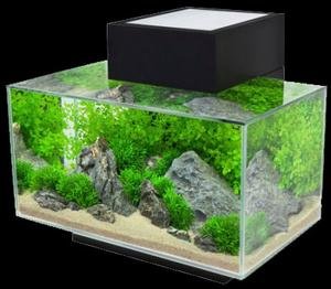 Fluval Edge - Akvarie
